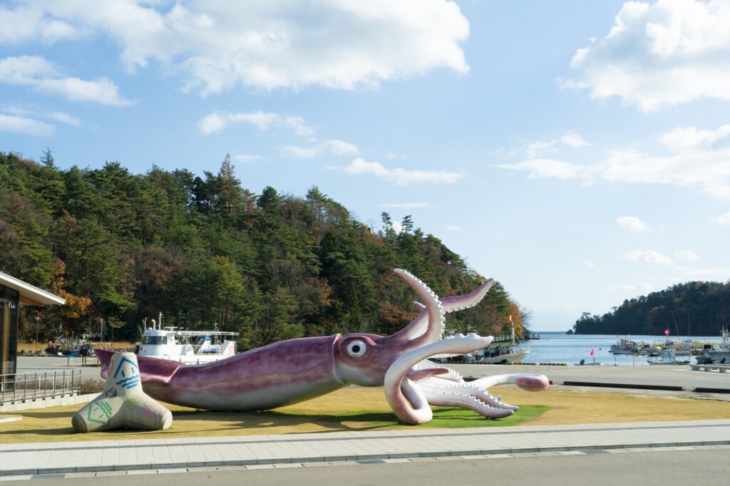 能登　アオリイカ